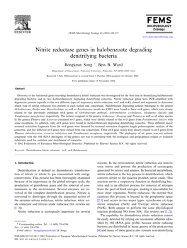 Nitrite Reductase Genes in Halobenzoate Degrading Denitrifying Bacteria