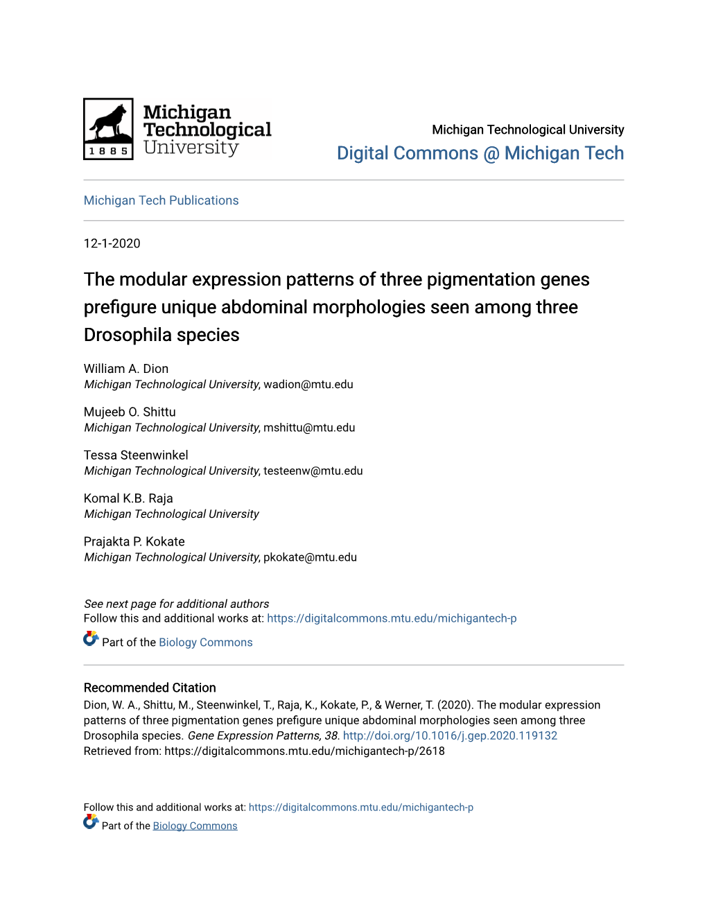 The Modular Expression Patterns of Three Pigmentation Genes Prefigure Unique Abdominal Morphologies Seen Among Three Drosophila Species