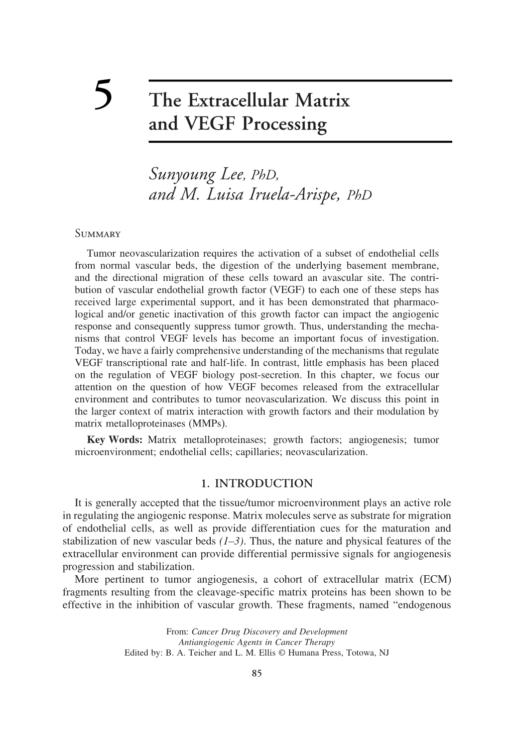 The Extracellular Matrix and VEGF Processing