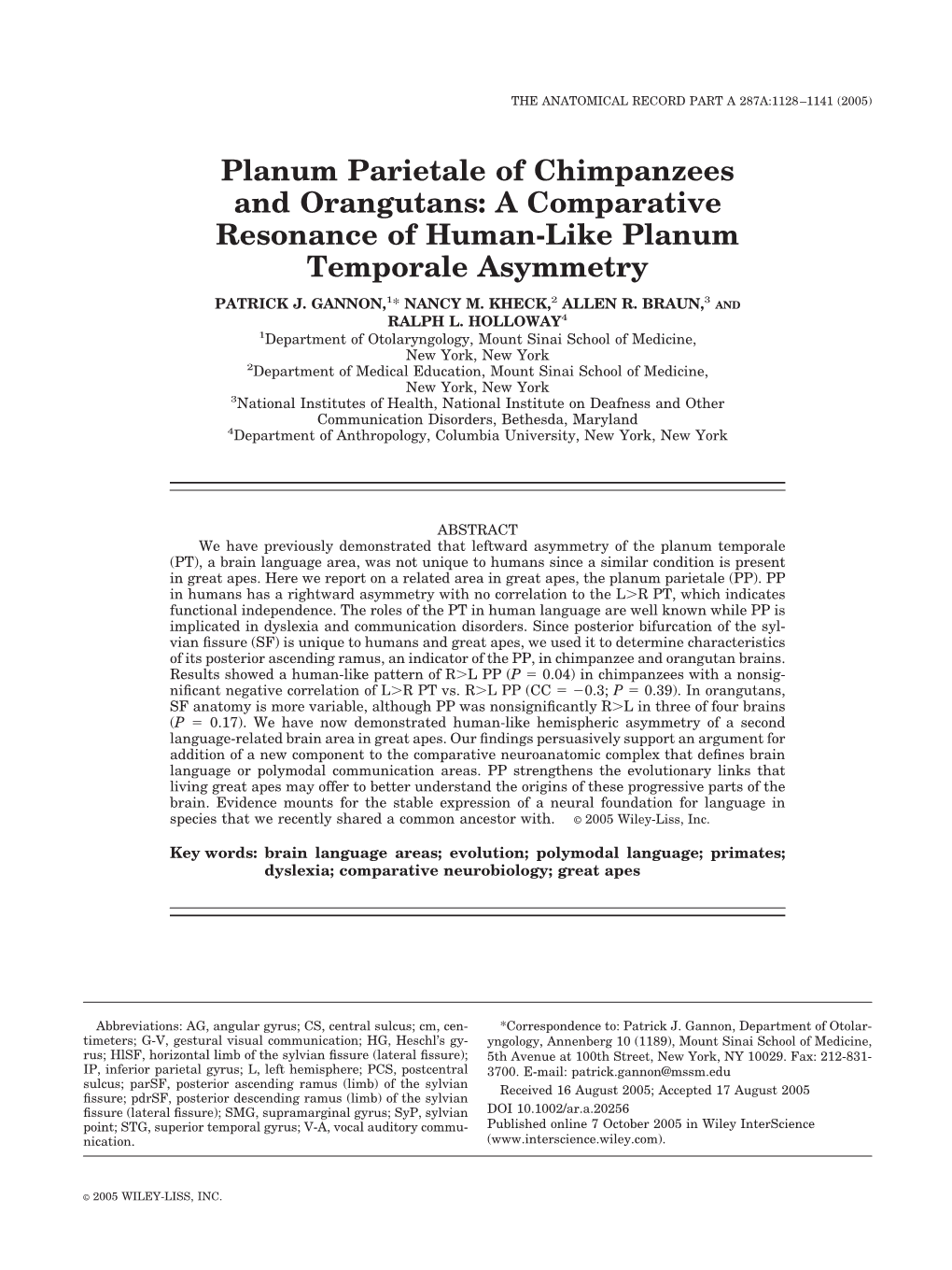 Planum Parietale of Chimpanzees and Orangutans: a Comparative Resonance of Human-Like Planum Temporale Asymmetry