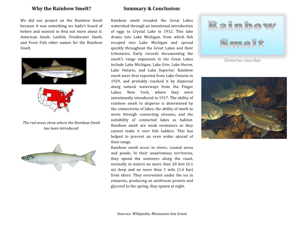 Why the Rainbow Smelt? Summary & Conclusion: Osmerus Mordax