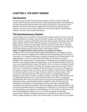 CHAPTER 3: the BODY SENSES Introduction the Somatosensory System