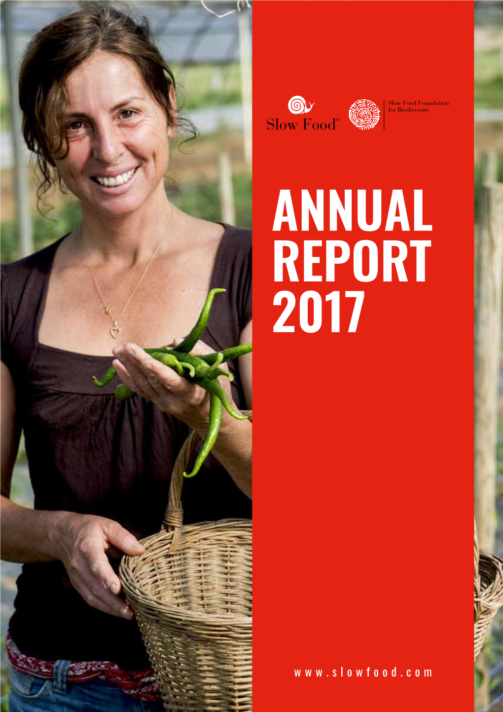 Annual Report 2017