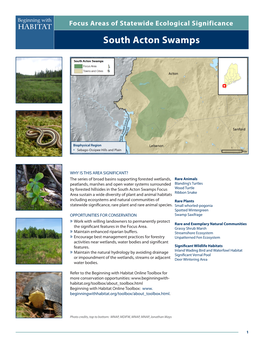 South Acton Swamps Beginning with Focus Areas of Statewide Ecological Significance Habitat South Acton Swamps