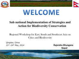 Sub National Implementation of Strategies and Action for Biodiversity Conservation