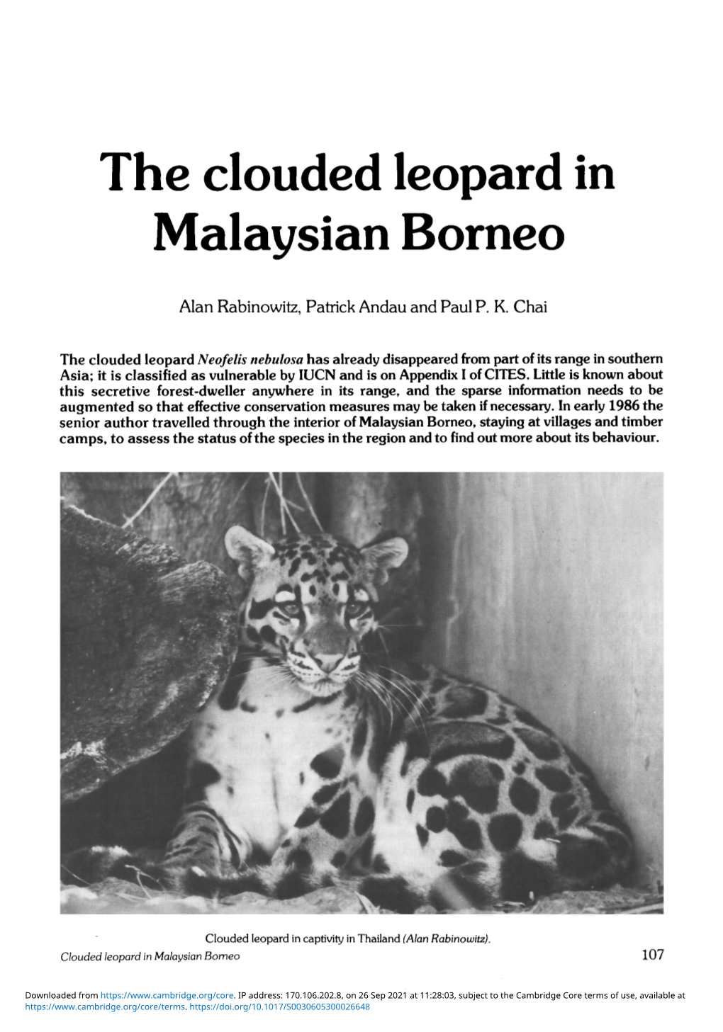 The Clouded Leopard in Malaysian Borneo