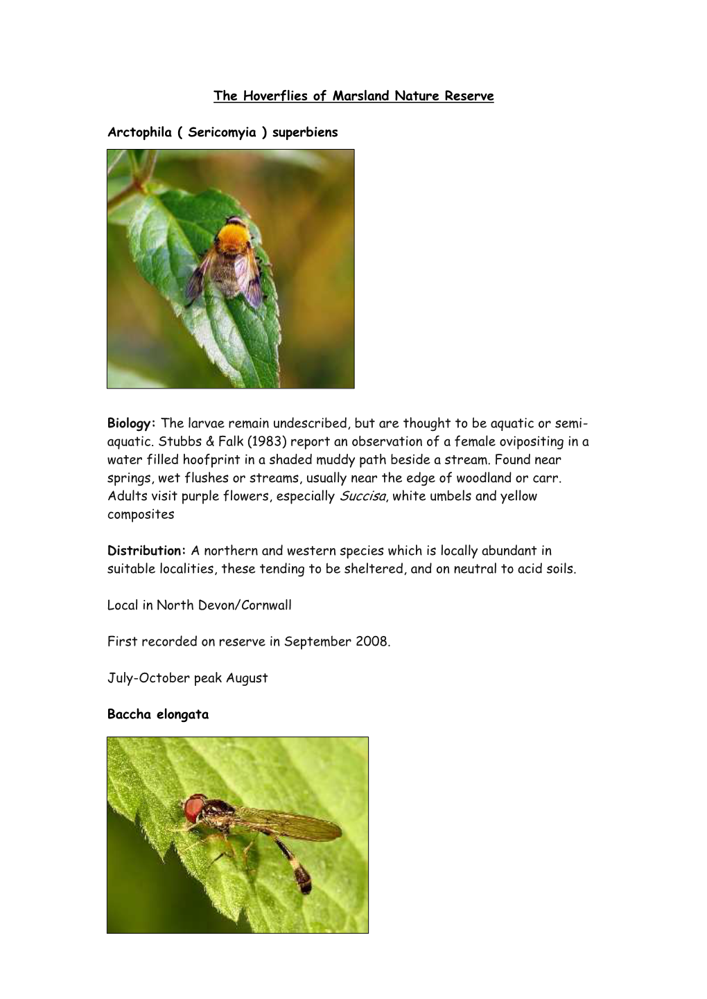The Hoverflies of Marsland Nature Reserve