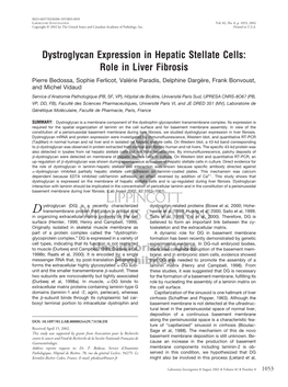 Dystroglycan Expression in Hepatic Stellate Cells: Role in Liver Fibrosis