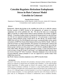 Catechin Regulates Reticulum Endoplasmic Stress in Rats Cataract Model Catechin in Cataract