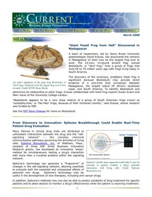 March 2008 NSF Current Newsletter