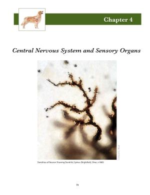 Chapter 4 Central Nervous System and Sensory Organs