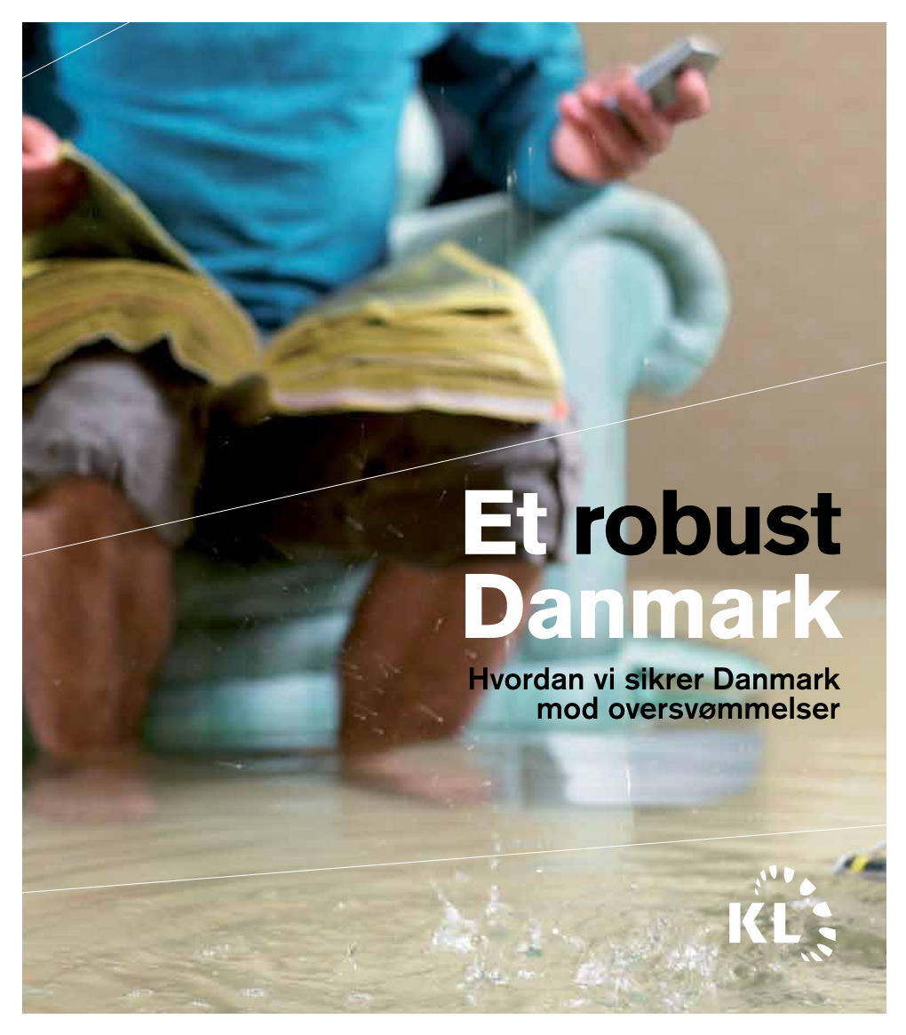 Et Robust Danmark Hvordan Vi Sikrer Danmark Mod Oversvømmelser Klimaforandringer - En Menneskeskabt Forandring I Den Globale Vandcyklus