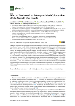 Effect of Deadwood on Ectomycorrhizal Colonisation of Old