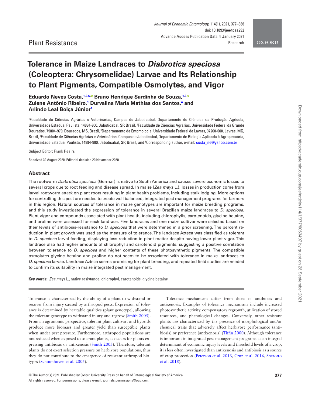 Tolerance in Maize Landraces to Diabrotica Speciosa (Coleoptera: Chrysomelidae) Larvae and Its Relationship to Plant Pigments, Compatible Osmolytes, and Vigor