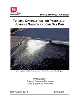 Turbine Optimization for Passage of Juvenile Salmon at John Day Dam