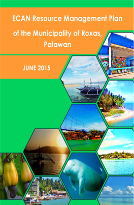 ECAN Resource Management Plan of Roxas, Palawan
