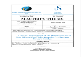 Cluster Development of the Barents and Kara Seas Oil and Gas Fields