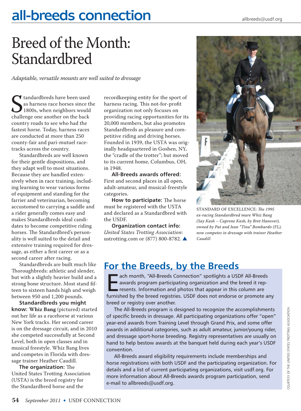Breed of the Month: Standardbred Adaptable, Versatile Mounts Are Well Suited to Dressage