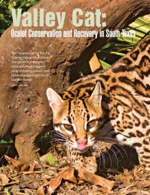 Ocelot Conservation and Recovery in South Texas
