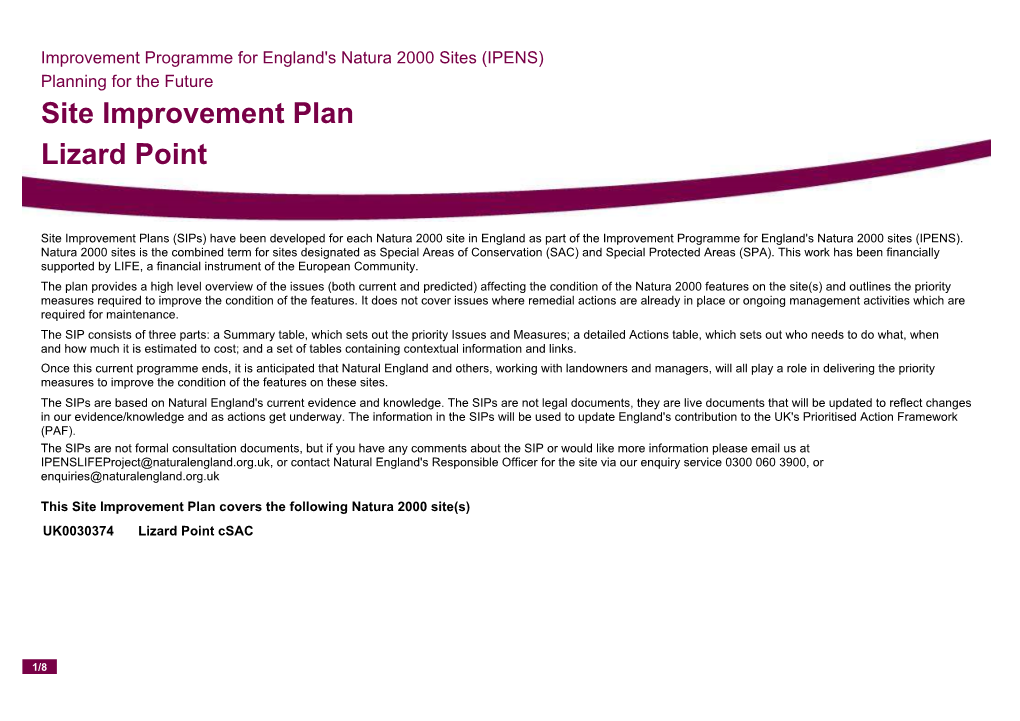 Site Improvement Plan Lizard Point