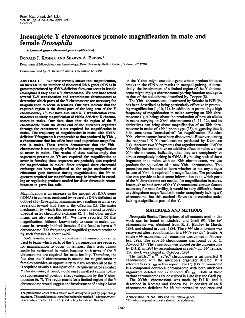 Incomplete Y Chromosomes Promote Magnification in Male and Female Drosophila (Ribosomal Genes/Ribosomal Gene Amplification) DONALD J