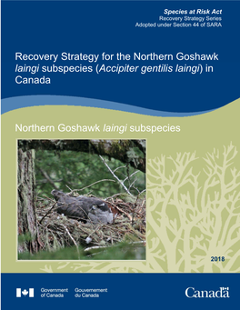 Recovery Strategy for the Northern Goshawk Laingi Subspecies (Accipiter Gentilis Laingi) in Canada