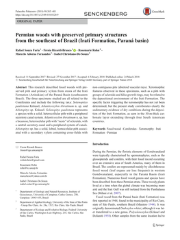 Permian Woods with Preserved Primary Structures from the Southeast of Brazil (Irati Formation, Paraná Basin)