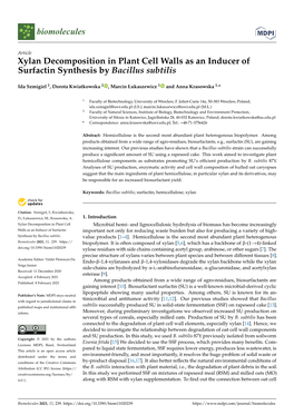 Xylan Decomposition in Plant Cell Walls As an Inducer of Surfactin Synthesis by Bacillus Subtilis