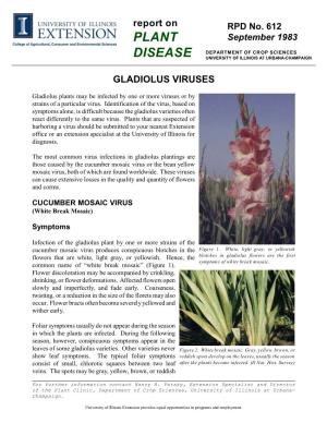 Gladiolus Viruses, RPD No
