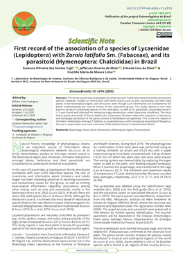 First Record of the Association of a Species of Lycaenidae (Lepidoptera) with Zornia Latifolia Sm
