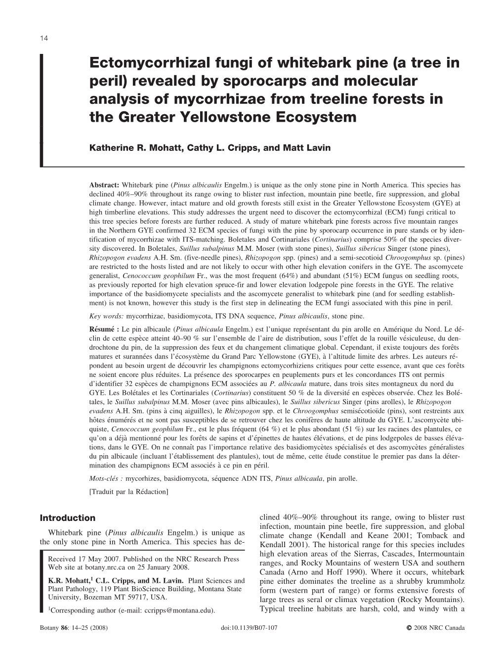 Ectomycorrhizal Fungi of Whitebark Pine