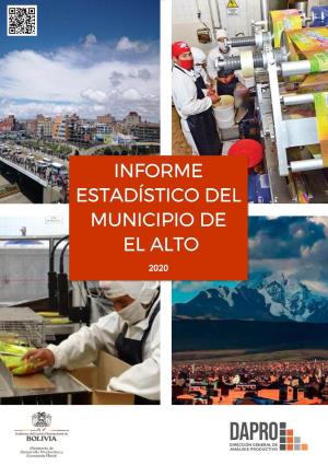 Informe Estadístico Del Municipio De El Alto