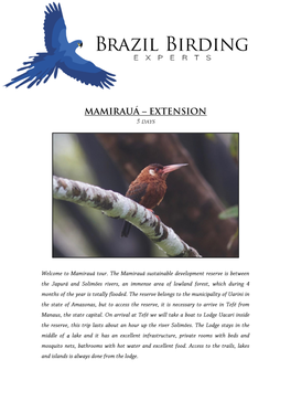West Amazon – Mamirauá Extension