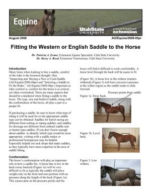 Fitting the Western Or English Saddle to the Horse