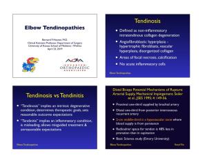 Elbow Tendinopathies • Deﬁned As Non-Inﬂammatory Intratendinous Collagen Degeneration Bernard F
