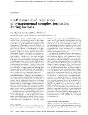 SUMO-Mediated Regulation of Synaptonemal Complex Formation During Meiosis