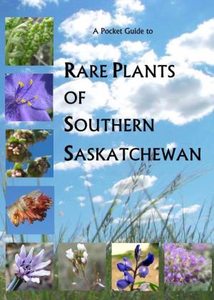 A Pocket Guide to the Rare Plants of Southern Saskatchewan