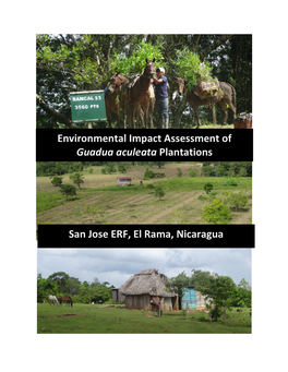 Environmental Impact Assessment of Guadua Aculeata Plantations San