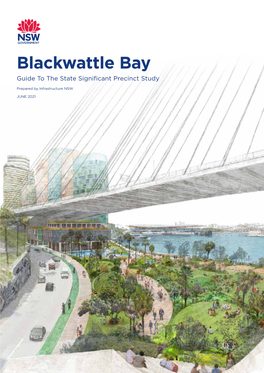 Blackwattle Bay Guide to the State Significant Precinct Study