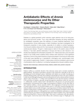 Antidiabetic Effects of Aronia Melanocarpa and Its Other Therapeutic Properties