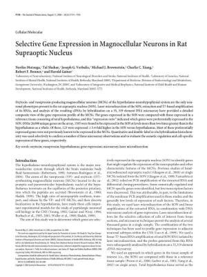 Selective Gene Expression in Magnocellular Neurons in Rat Supraoptic Nucleus