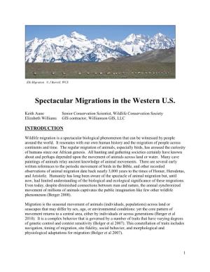 Spectacular Migrations in the Western U.S