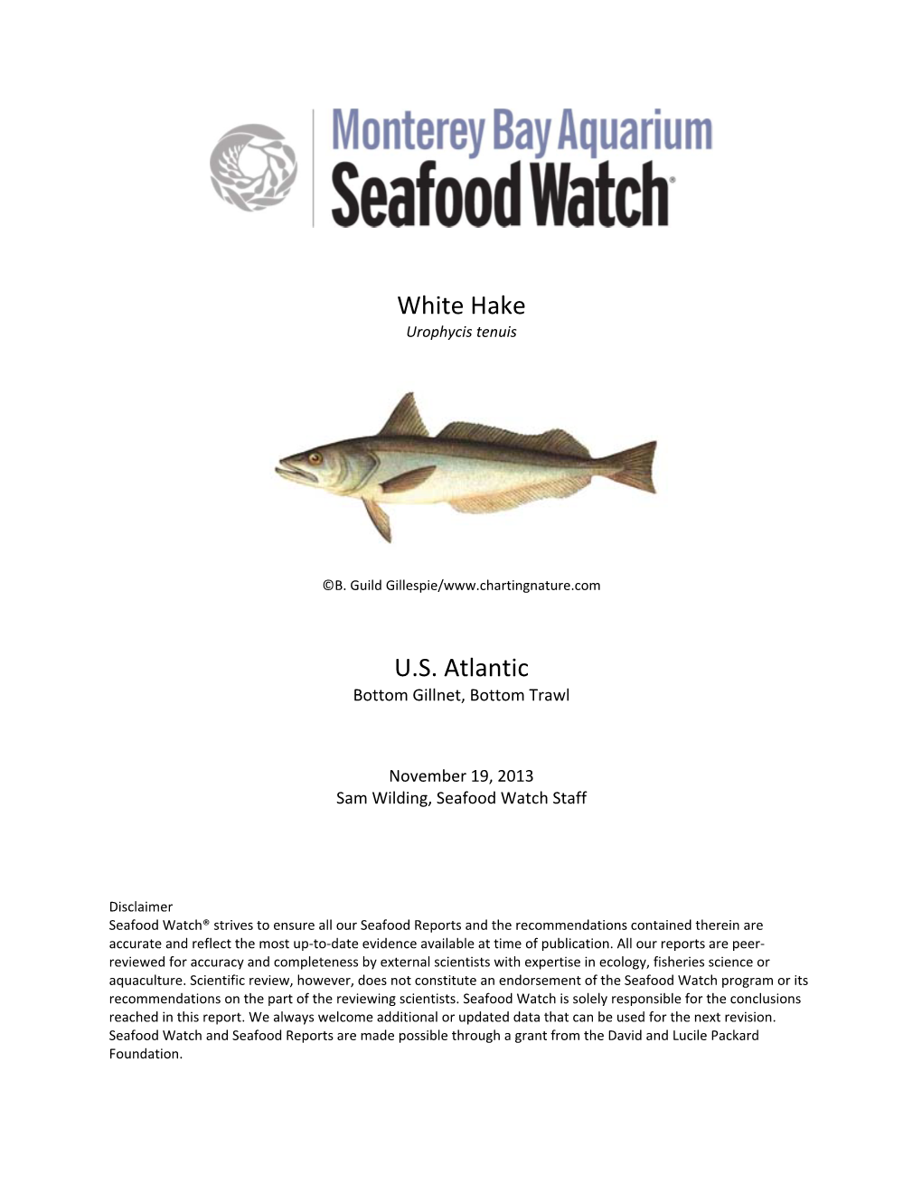 White Hake U.S. Atlantic