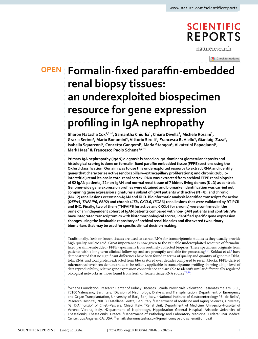 Formalin-Fixed Paraffin-Embedded Renal Biopsy Tissues: An