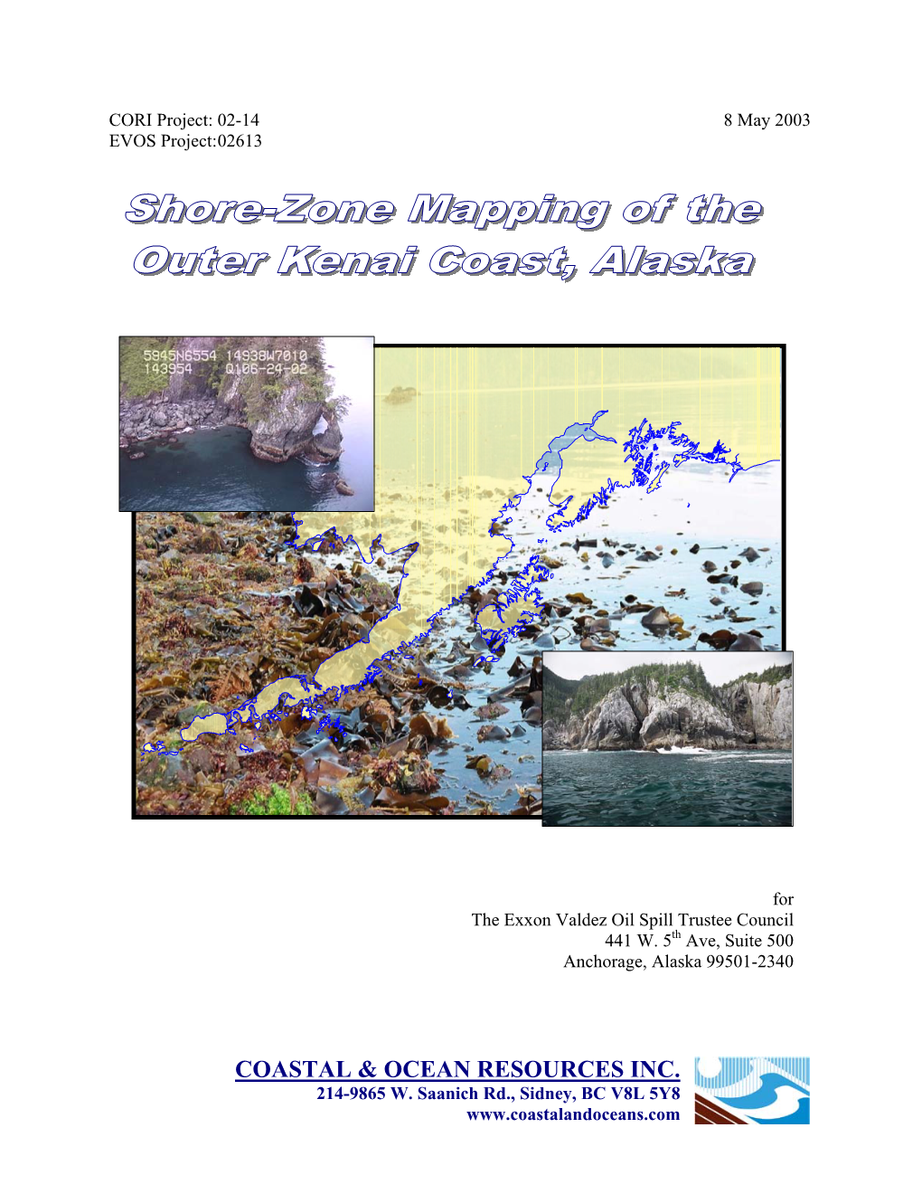 Outer Kenai Peninsula Summary Report 2003