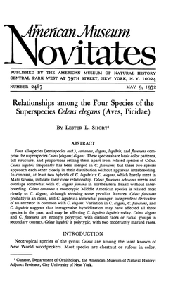 Relationships Among the Four Species of the Superspecies Celeus Elegans (Aves, Picidae)