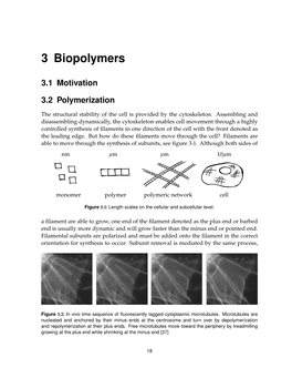 3 Biopolymers