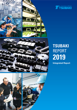 2019 Integrated Report (Annual Report)