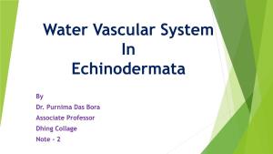 Water Vascular System in Echinodermata