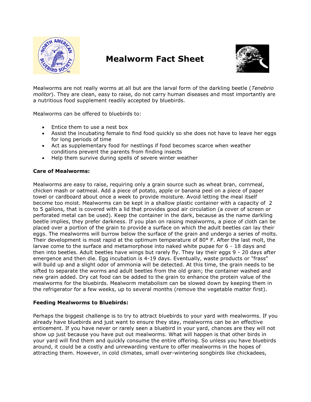 Mealworm Fact Sheet